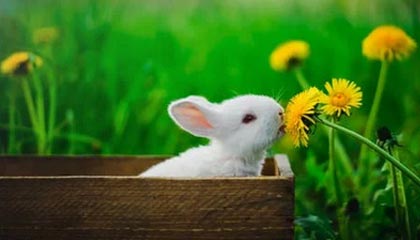 百度体育-三个年轻人，说出了哈登最真实的“魔力”#哈登 #泰森 #莫布利 #托马斯布莱恩特